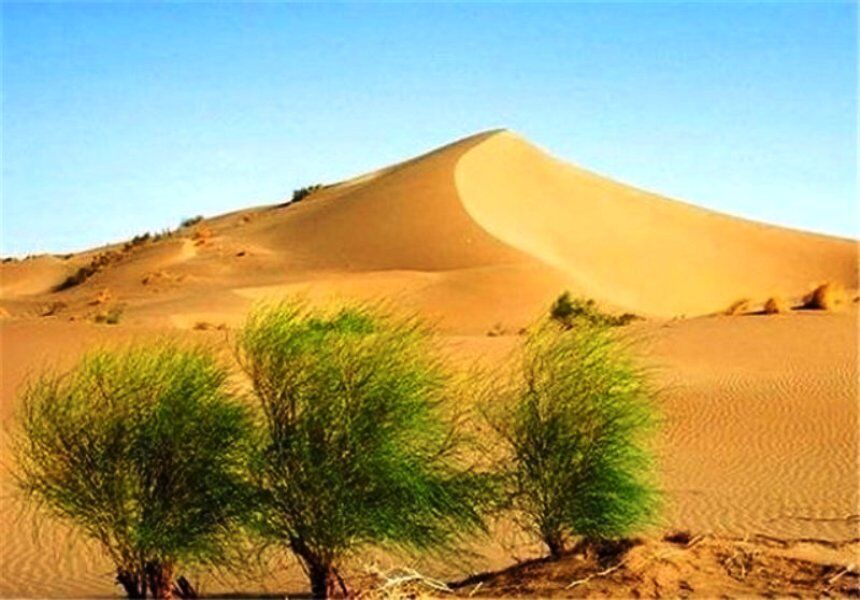 Iran observes International Day to combat desertification 