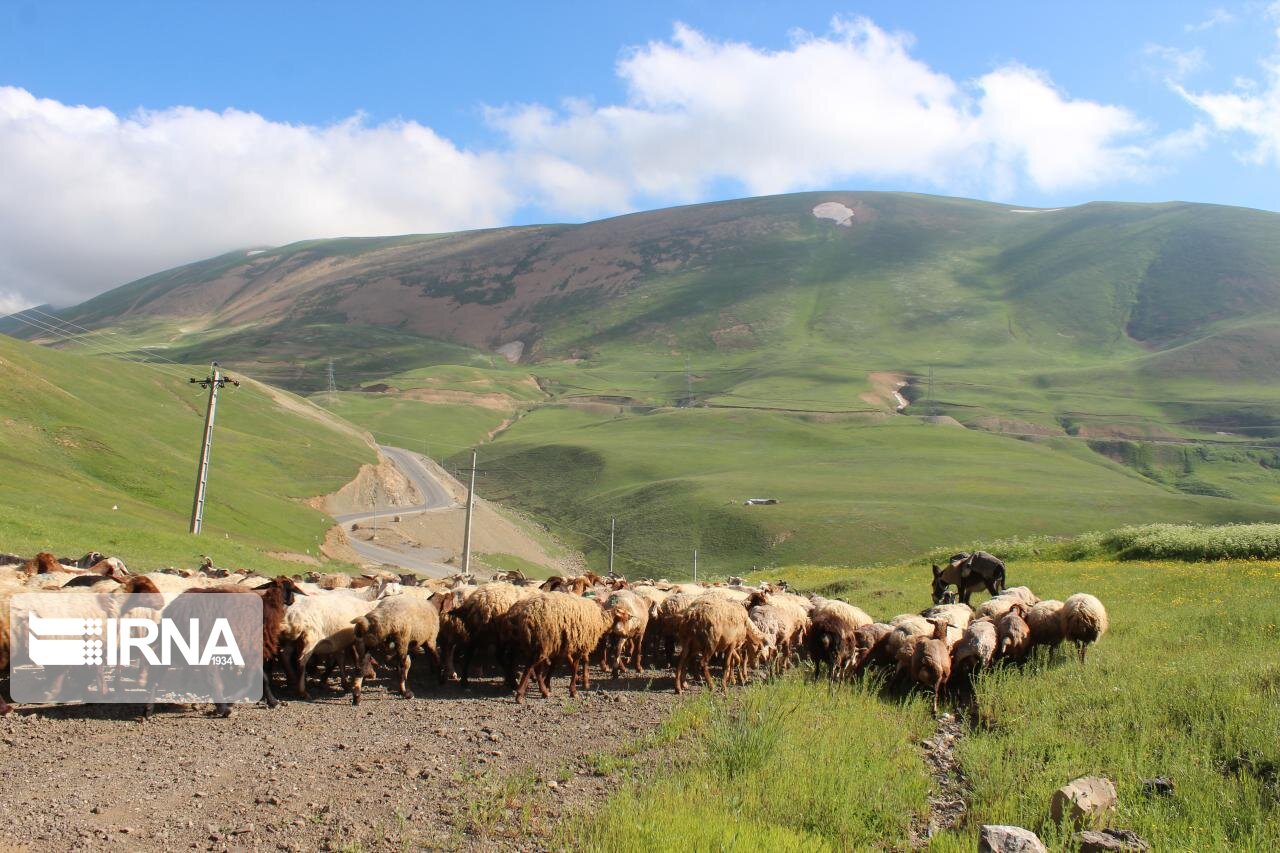 هشدار فرمانده یگان حفاظت منابع طبیعی قزوین به دهیاران متخلف