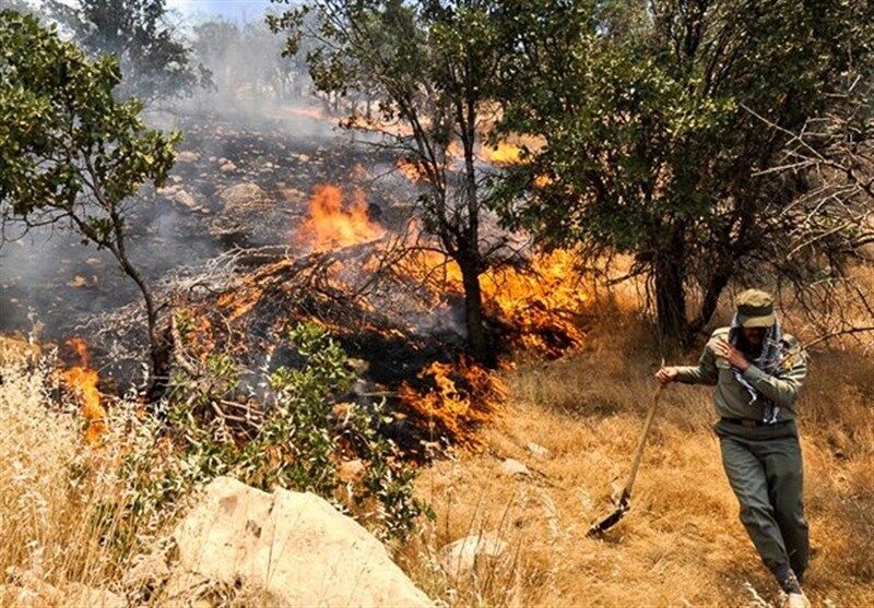 اعزام آتش نشانان چهار شهرستان به منطقه میانکاله اعزام آتش نشانان چهار شهرستان به منطقه میانکاله