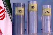 کارشناس آلمانی: ایران حق غنی سازی و تحقیقات هسته ای را دارد