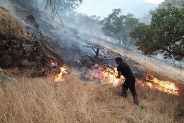 آتش‌سوزی در پارک های جنگلی سنندج افزایش یافت