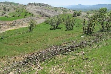 ۲۵ هکتار زمین ملی در نقده خلع ید شد