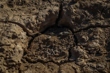 کرخه نور در وضعیت خشکسالی