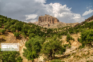 Iran Beauties; Spring in Chaharmahal Va Bakhtiari's Koohrang