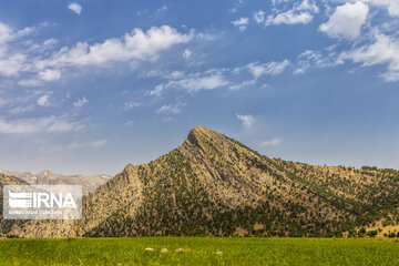 Iran Beauties; Spring in Chaharmahal Va Bakhtiari's Koohrang