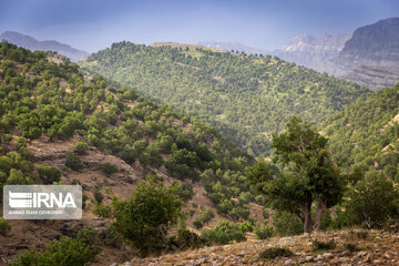 Iran Beauties; Spring in Chaharmahal Va Bakhtiari's Koohrang