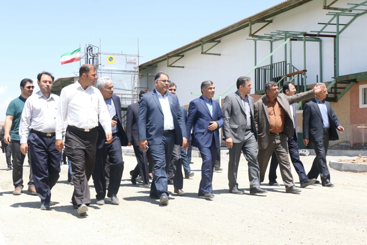 بزرگترین کشتارگاه صنعتی شمالغرب تا ۳ ماه آینده در ارومیه به بهره برداری می رسد بزرگترین کشتارگاه صنعتی شمالغرب تا ۳ ماه آینده در ارومیه به بهره برداری می رسد
