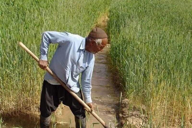 ۳۱۸ هزار و ۸۹۵ بیمه شده جدید روستایی در دولت سیزدهم