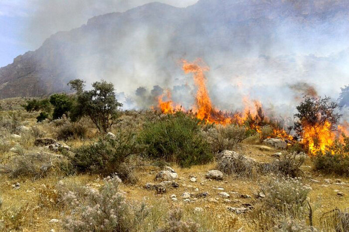 آتش سوزی ۵۰ هکتار از مراتع آبیک مهار شد