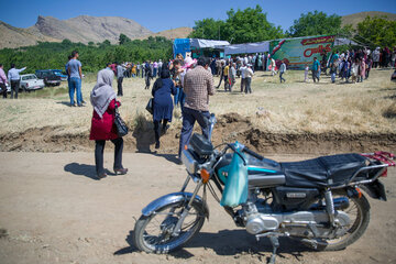 جشنواره گیلاس در روستای سردهلق شهرستان صحنه