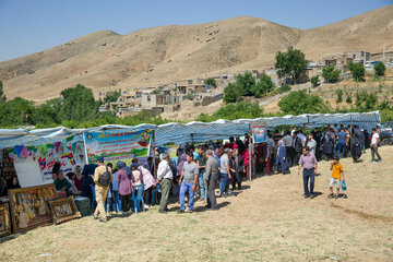 جشنواره گیلاس در روستای سردهلق شهرستان صحنه