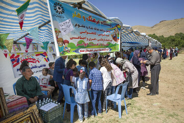 جشنواره گیلاس در روستای سردهلق شهرستان صحنه