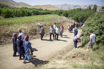 جشنواره گیلاس در روستای سردهلق شهرستان صحنه