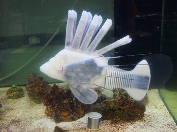 تأمین توان ماهی رباتیک با استفاده از خون الکتریکی