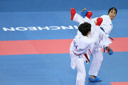 Iran karatekas bag bronze in Montreal Karate 1-Series A competition