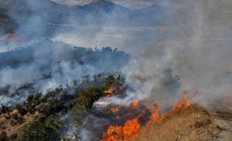 ÙÙÙØ¹ Ø¢ØªØ´âØ³ÙØ²Û Ø¯Ø± Û´Û°Û° ÙÚ©ØªØ§Ø± ÙÙØ§Ø·Ù ÙØ­ÛØ·âØ²ÛØ³ØªÛ Ø§Ø² Ø§Ø¨ØªØ¯Ø§Û Ø§ÙØ³Ø§Ù 