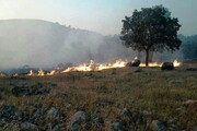 ۲ هکتار از مراتع بادله کوه دامغان در آتش سوخت