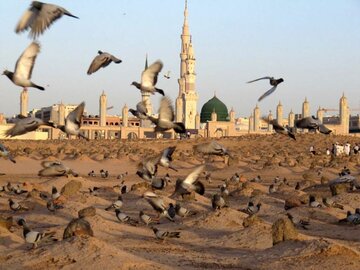 امام صادق (ع) محور وحدت و عزت