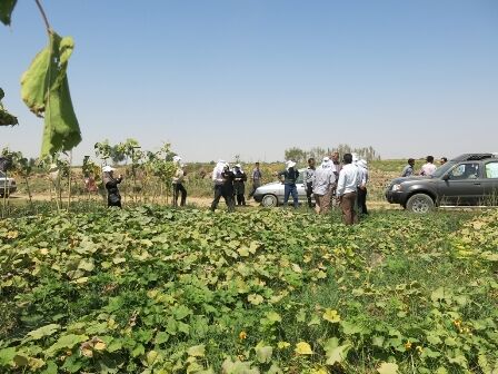 انتخاب روستاهای فاز ششم پروژه همکاری احیای دریاچه ارومیه 