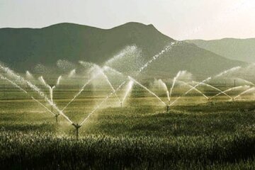 ۲۰۰۰ هکتار زمین کشاورزی در کهگیلویه و بویراحمد زیر پوشش آبیاری نوین قرار گرفت