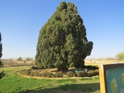  ابرکوه  شهر نمونه گردشگری ایران آماده استقبال از گردشگران تابستانی است