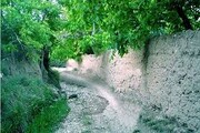  بوم گردی در روستاهای ساوه عامل ایجاد اشتغال و ماندگاری ساکنان است 