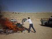 آتش به جان ۵۰۰ قلیان در شیراز افتاد 
