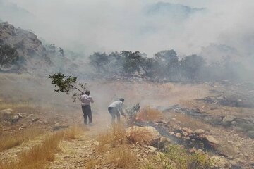 آتش سوزی در جنگل ها و مراتع گچساران و باشت مهار شد