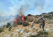 Iran keen on cooperation with Turkmenistan to fight forest fires 