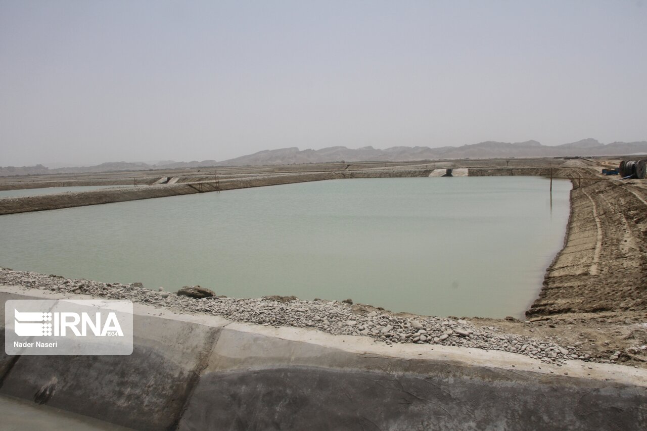 شناسایی ۱۲ هکتار زمین‌ جاسک برای طرح پرورش میگو