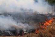 آتش سوزی سه هکتار از مراتع دشت قزوین مهار شد