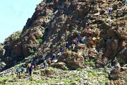 ۶۰ کوهنورد از ۶ استان میهمان تابستانی قله بلقیس تکاب