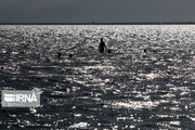 Return Of Life To Iran's Lake Orumiyeh 