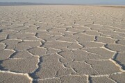 دریاچه نمک پیش از بحرانی شدن نیازمند توجه ملی است