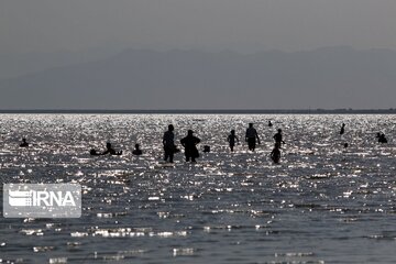 Return Of Life To Iran's Lake Urmia