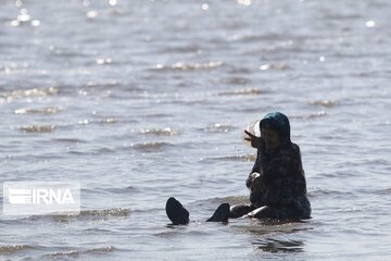 Return Of Life To Iran's Lake Urmia