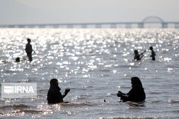 Return Of Life To Iran's Lake Urmia