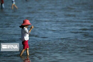 Return Of Life To Iran's Lake Urmia