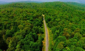 Un massif forestier iranien inscrit au patrimoine mondial de l'Unesco