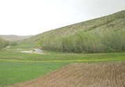 معاون حفاظت منابع طبیعی سمنان: ۷۲ هزار هکتار اراضی ملی حدنگاری شد