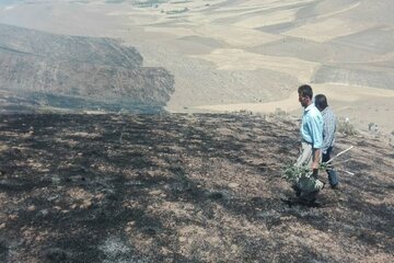 آتش سوزی در ۲۰ هکتار از مراتع روستای «دوستعلی» مهاباد مهار شد