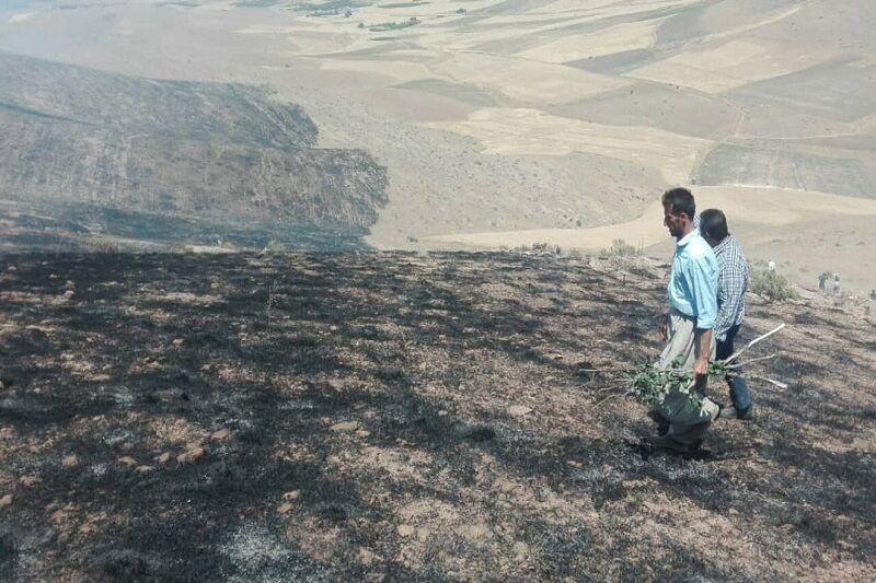 آتش سوزی در ۲۰ هکتار از مراتع روستای «دوستعلی» مهاباد مهار شد