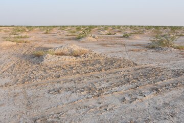 بازدید کلانتری از کانون ریزگرد فوق بحرانی اهواز در بخش غیزانیه