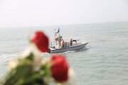 Место крушения иранского самолета в результате нападения США в Персидском заливе было усыпано цветами