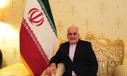 Iran does not want war with US: envoy