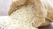 کاهش قیمت برنج مازندران؛ دلالی یا خوش‌بینی  