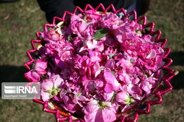 Gol-o-Golab: the Rose Festival in Iran's TabriZ