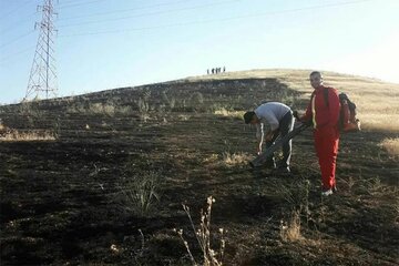 آتش سوزی جنگل توسکستان مهار شد