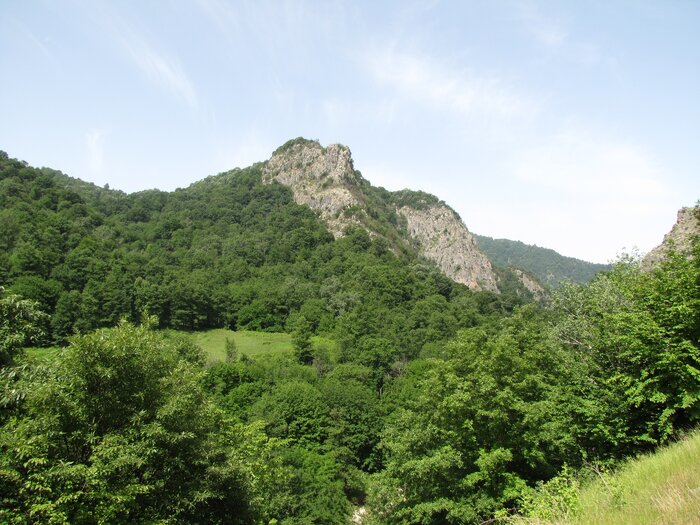Hyrcanian Forest registered in World Heritage List