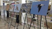 نمایشگاه عکس حیات وحش در همدان برپا شد